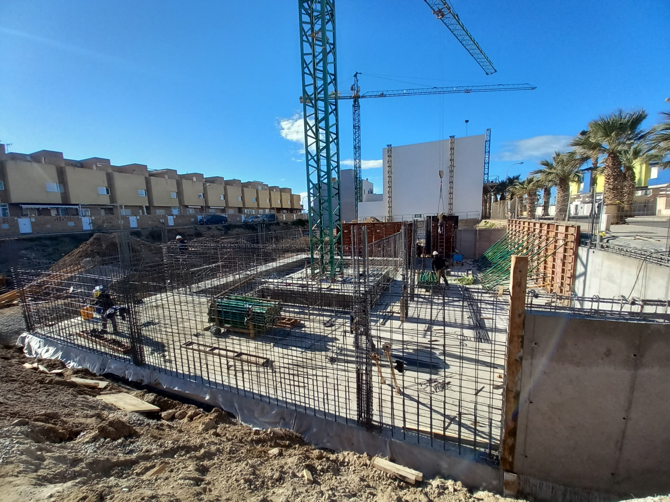 Estructura Grameales 2